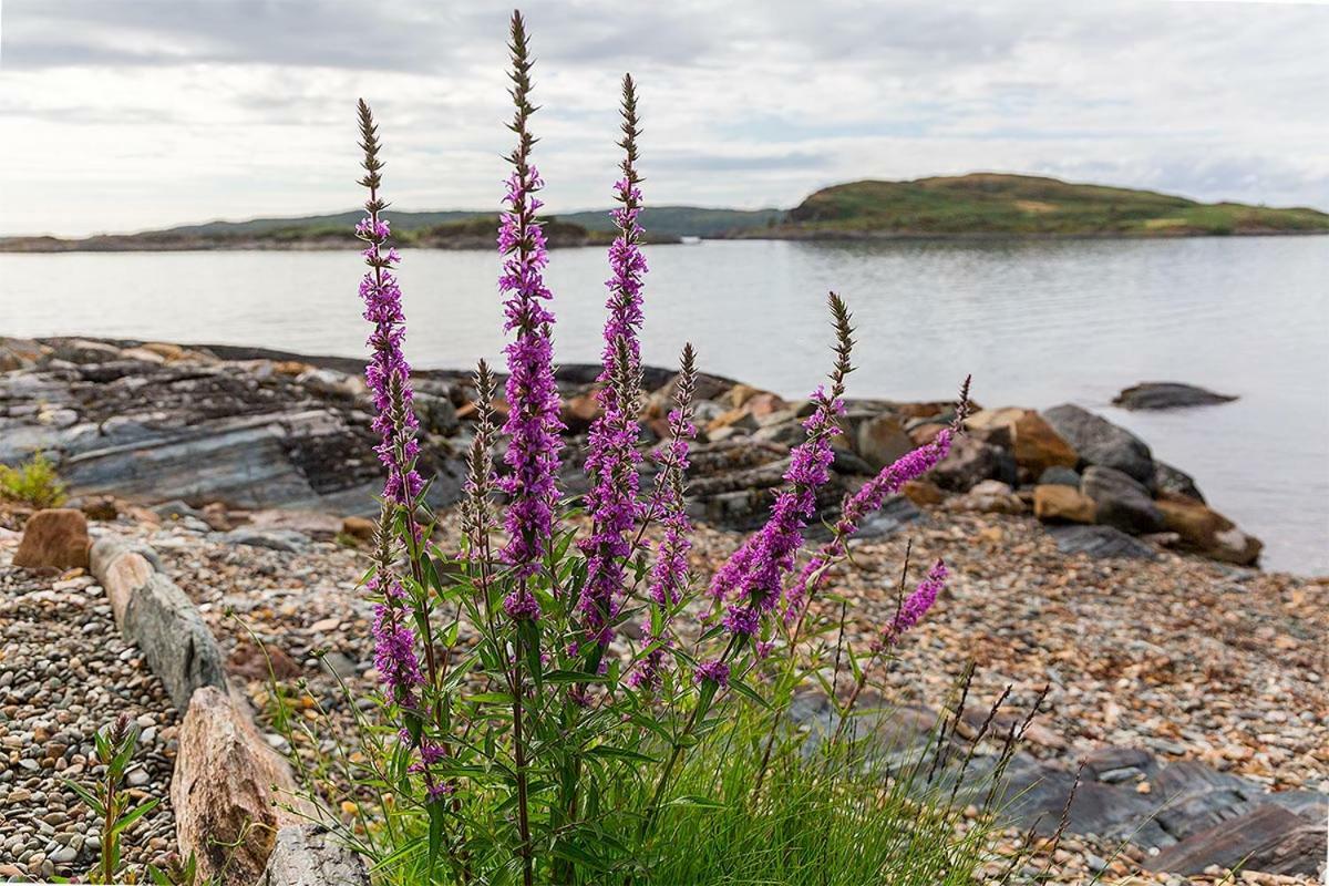 Lunga House Beach Lodges Craobh Haven Esterno foto